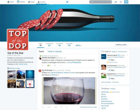 TOP OF THE DOP – Social media strategy and content management